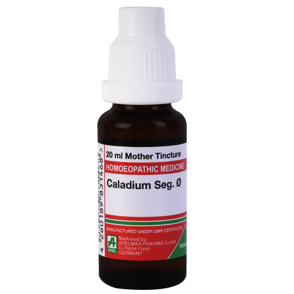 Adel Caladium Seguinum 1X (Q) (20ml)